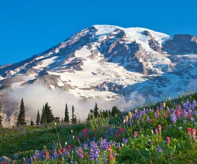 Not a volcano wake up call