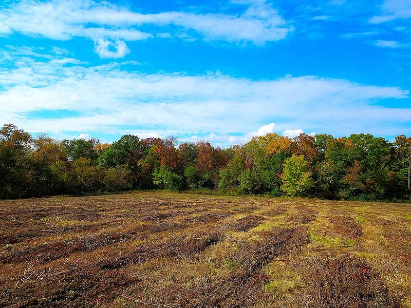 Volunteer-Driven Maintenance