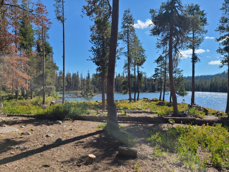 Simple Camp Cooking With a View