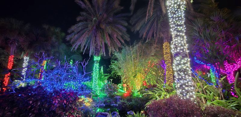 Holiday Lights in the Gardens, Florida Botanical Gardens, Largo (Nov 28, 2025 – Jan 3, 2026)
