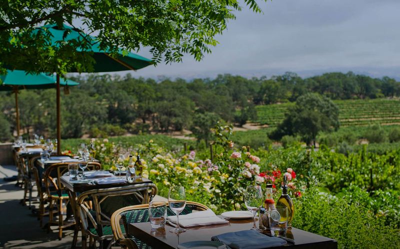 Francis Ford Coppola Winery, Sonoma County, California