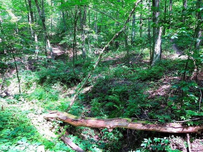 Historical Significance