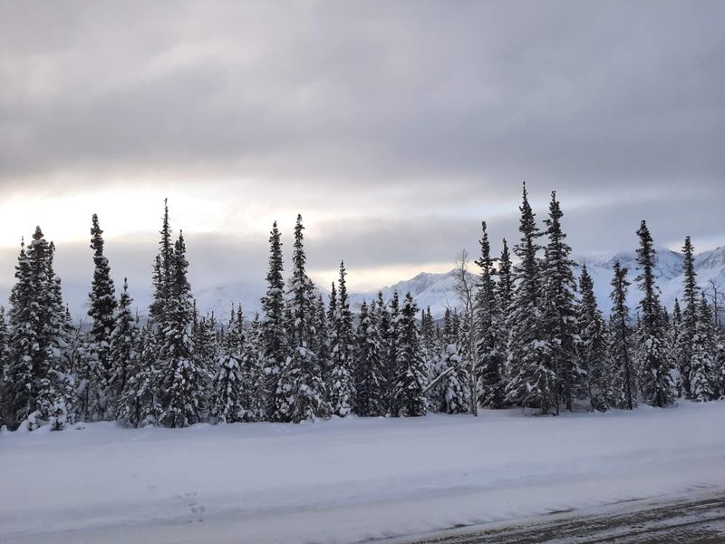 Tanana Valley – Interior Alaska