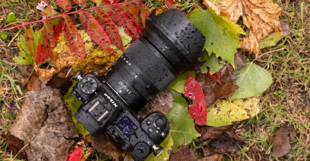 10 Best Cameras for Capturing Forest Trails in 2025
