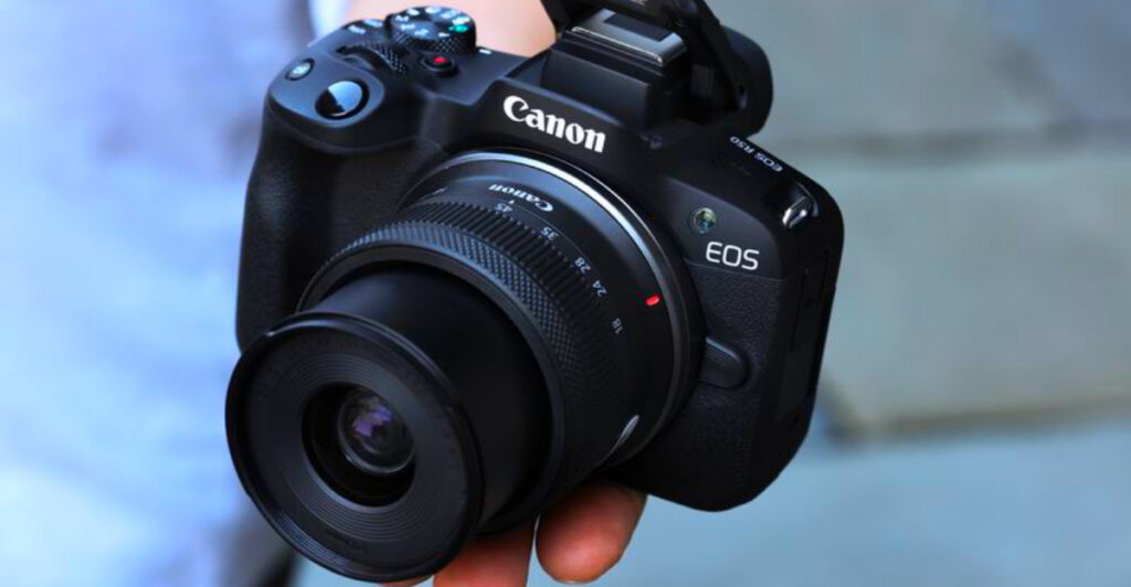 10 Compact Cameras Built for Frozen Forest Trails