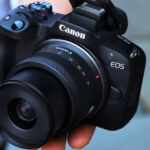 10 Compact Cameras Built for Frozen Forest Trails