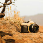 10 Lightweight Cameras That Still Deliver Pro-Level Wilderness Shots