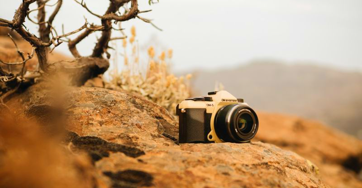 10 Lightweight Cameras That Still Deliver Pro-Level Wilderness Shots