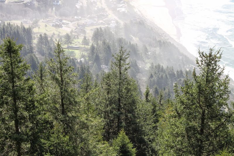 12. Most Searches Were Poorly Documented