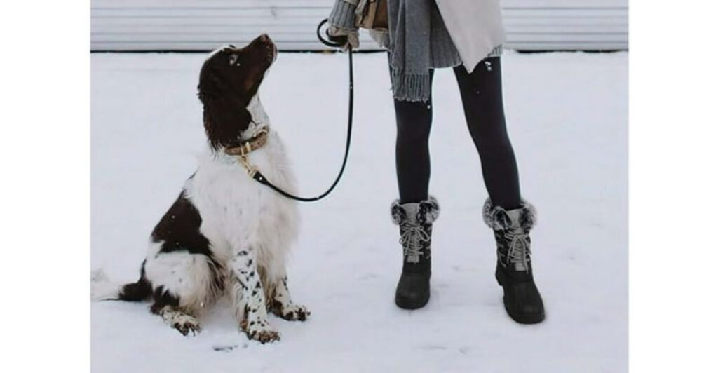 12 Best Affordable Grip Boots for Icy Walking