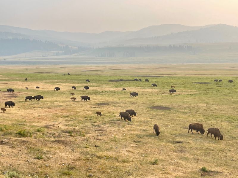 Yellowstone National Park, Wyoming Montana and Idaho