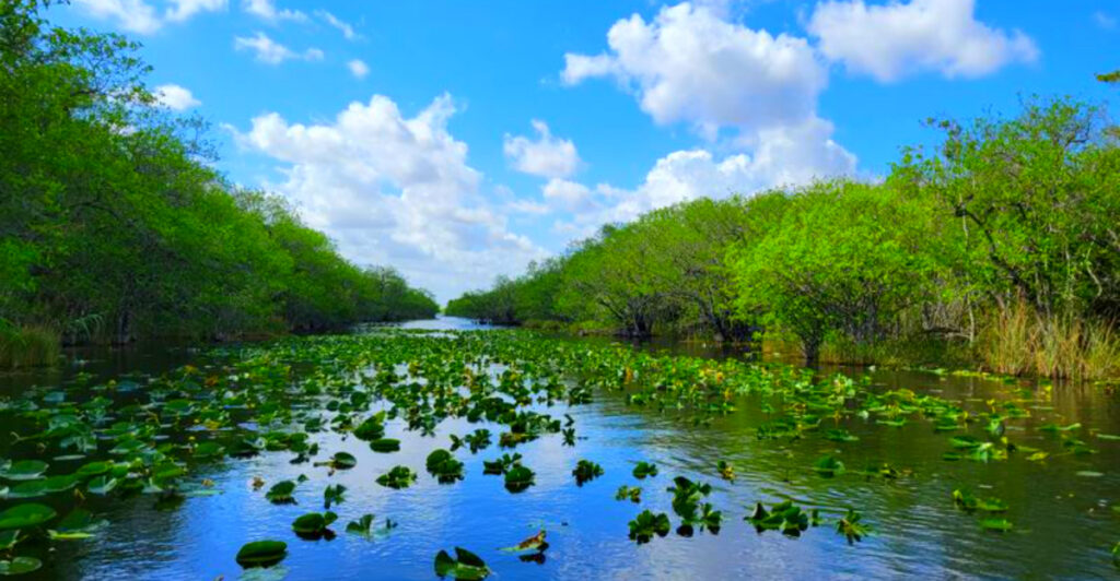 12 Best Wildlife Reserves to Travel in America This Year