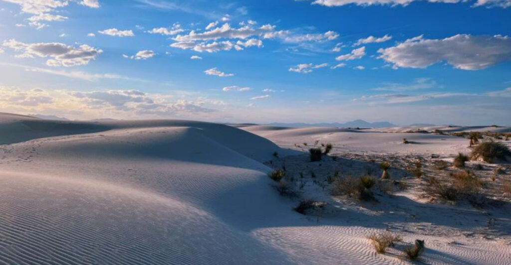 12 National Parks That Are Truly Dog-Friendly