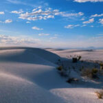 12 National Parks That Are Truly Dog-Friendly