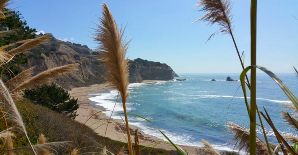 12 Scenic Drives Near Los Angeles You Can Do in One Day