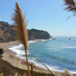 12 Scenic Drives Near Los Angeles You Can Do in One Day