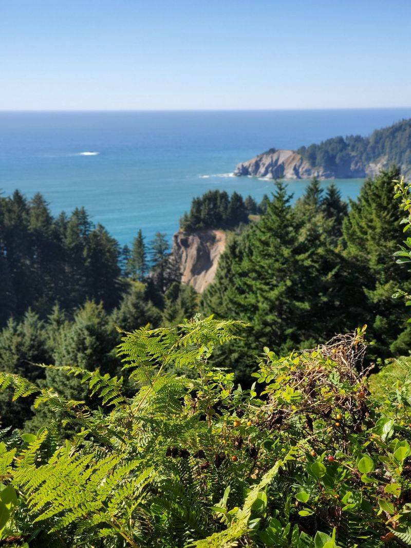 13. The Area Is Now Protected Land