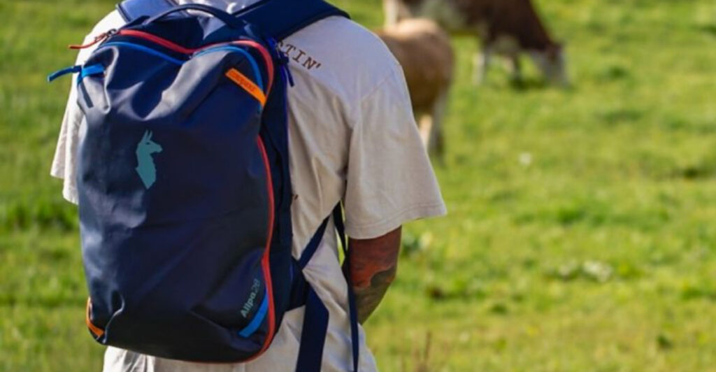 13 Travel Bags and Carry-Ons That Made Packing Feel More Forgiving