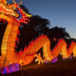 15 Best Things To Do With Kids in Boston