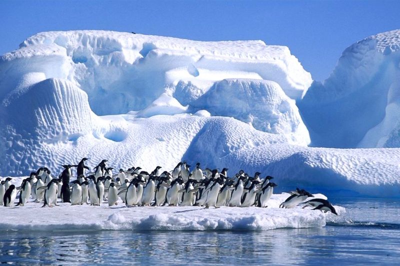 Antarctica, Southern Ocean