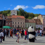 15 Places on Earth That Survived Major Climate Changes – And Why Some May Remain More Stable Than Others