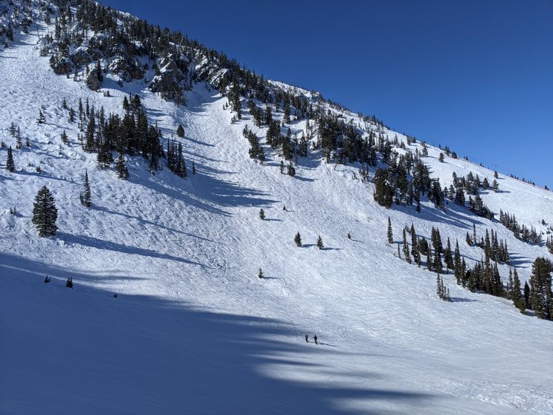 Bridger Bowl, Montana (Bozeman)
