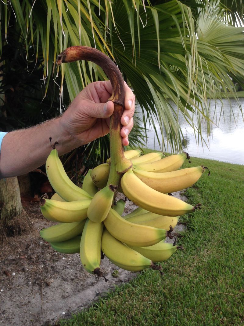 3. The Gardens GreenMarket Runs Right Through Community Life