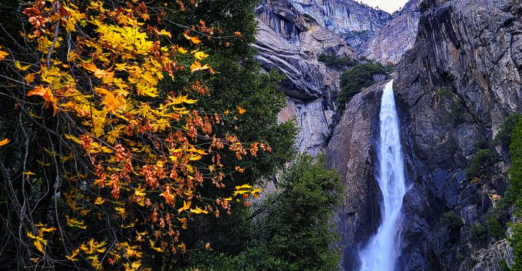 2026 National Park Overhaul: Digital Passes, Resident-First Pricing and Hefty Fees for Nonresidents