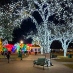 22 Best U.S. Towns to Celebrate Christmas Without Freezing in 2025