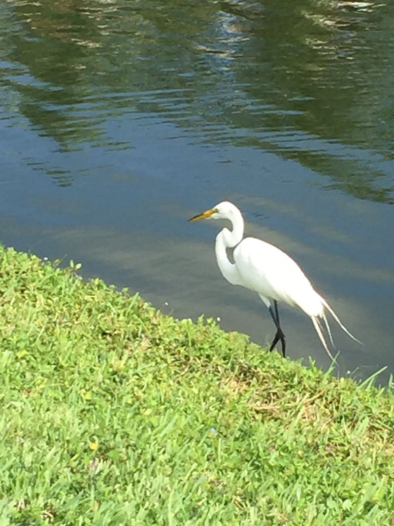 4. John D. MacArthur Beach State Park Is Practically Next Door