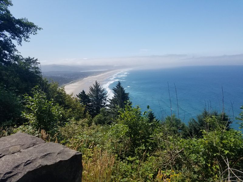 5. Some Beeswax Blocks Are Dated to the 1600s