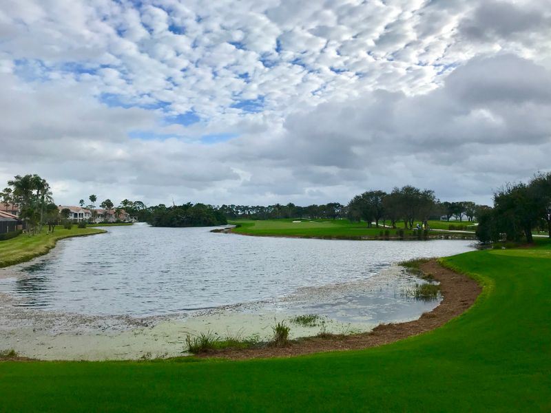 6. Spring Training Brings Quiet Excitement