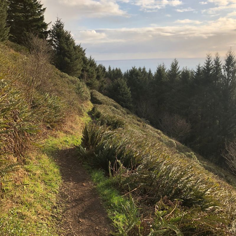 9. Treasure Was Commonly Buried During Emergencies