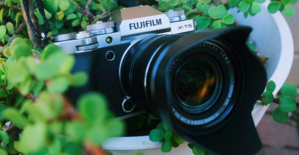 9 Cameras That Capture Jungle Greens With Incredible Color Accuracy