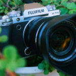 9 Cameras That Capture Jungle Greens With Incredible Color Accuracy
