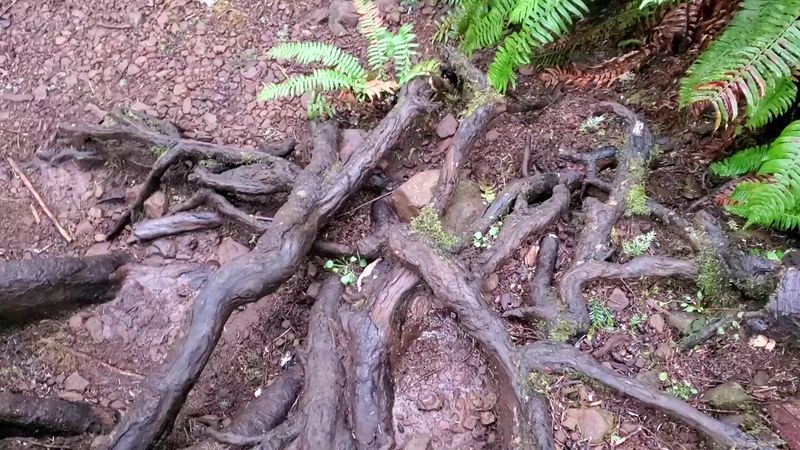 10. No Confirmed Excavation Has Ever Reached Bedrock on the Mountain