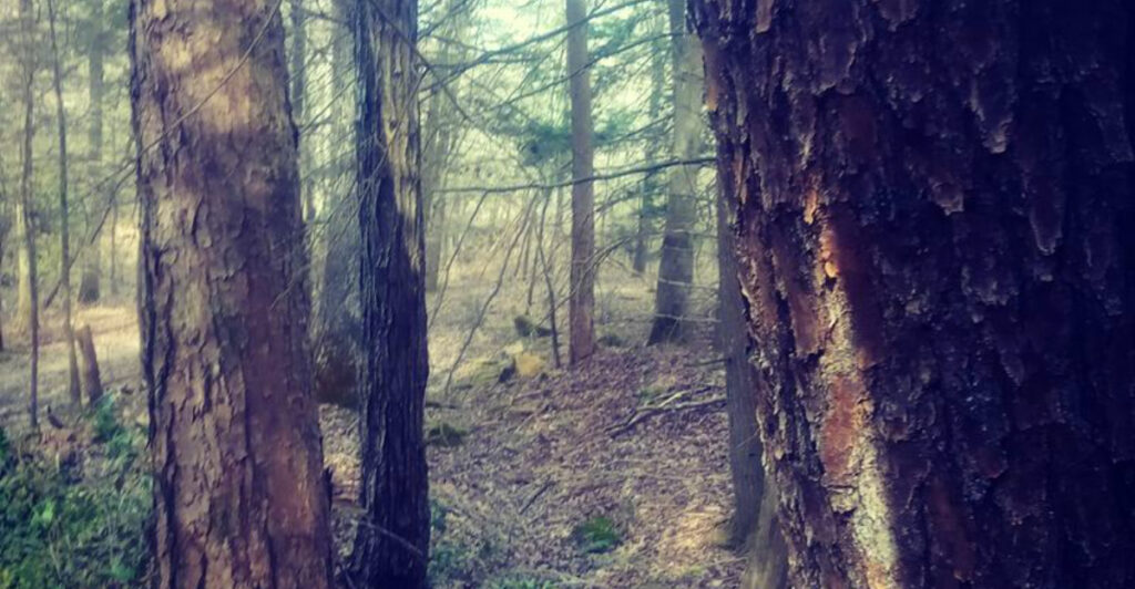 A Claustrophobic Section of Tennessee’s Cumberland Trail Will Test Your Nerves
