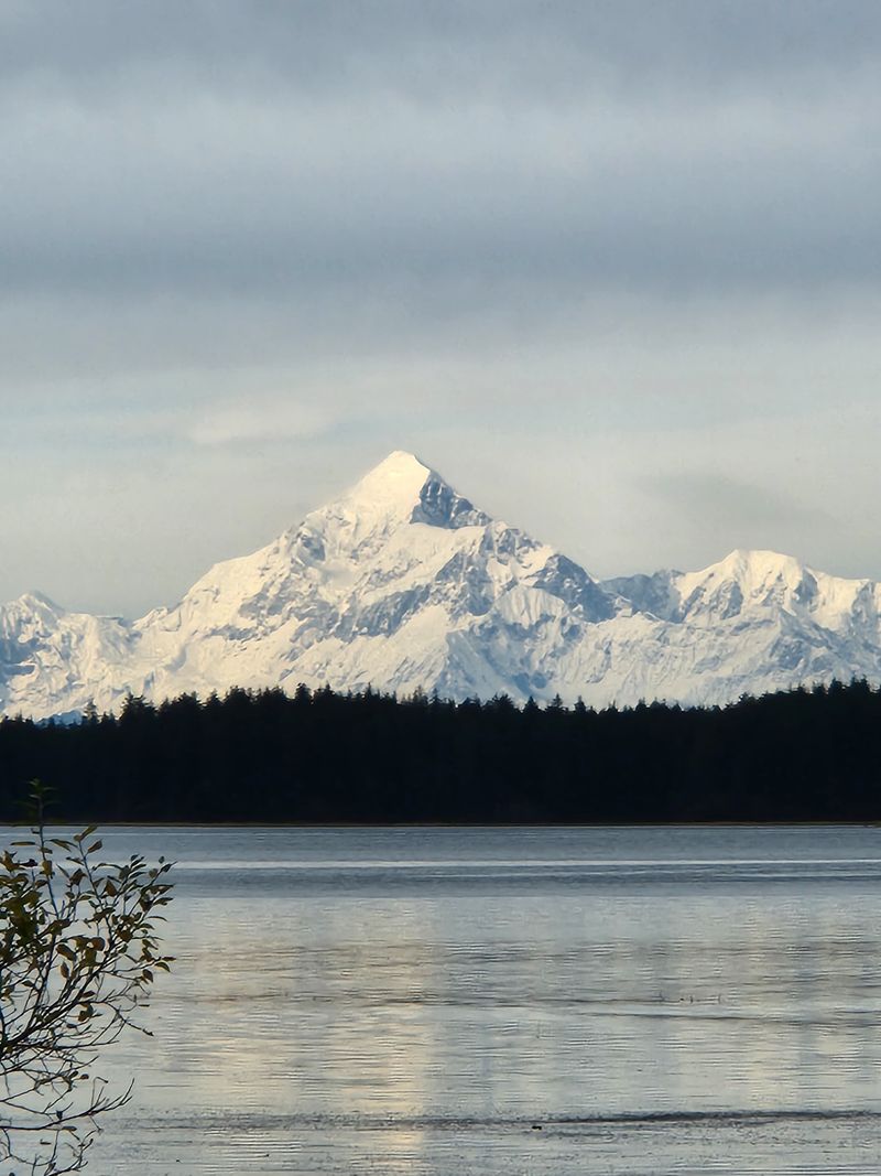 What People Felt — Reports, Shaking, and Resident Reactions