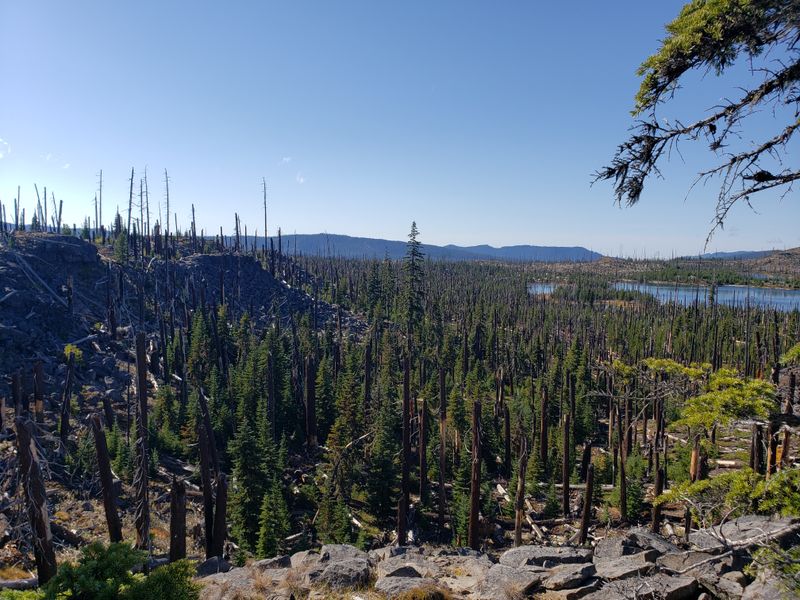 Mountain Biking Adventures