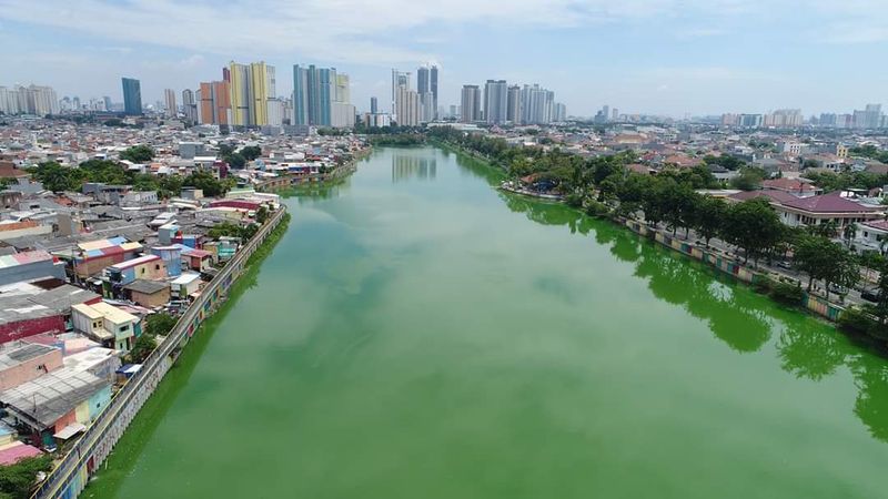 Coastal Flooding and Rising Seas
