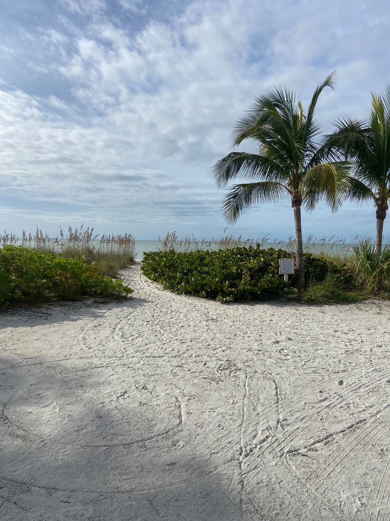 Known Worldwide for Seashells