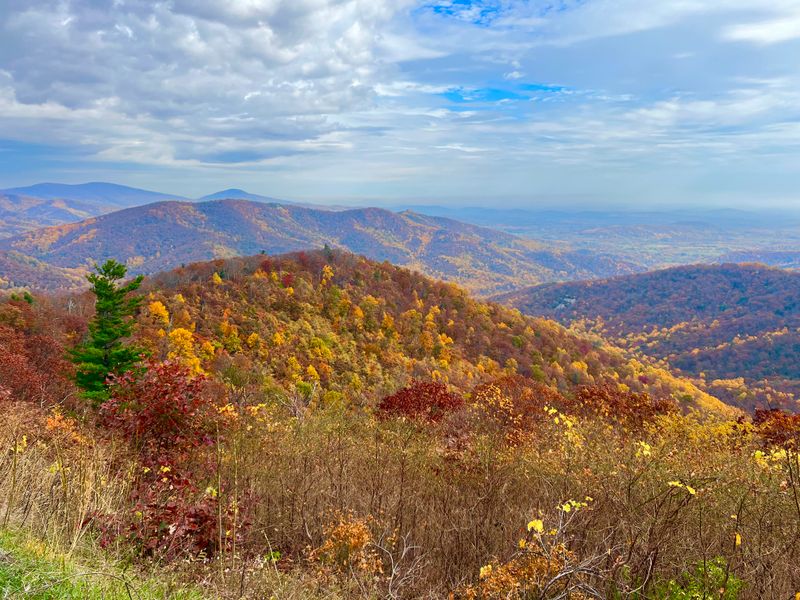 Shenandoah National Park (Virginia)