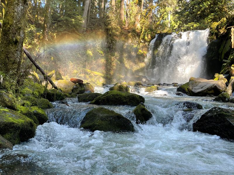 Wildlife and Flora Highlights