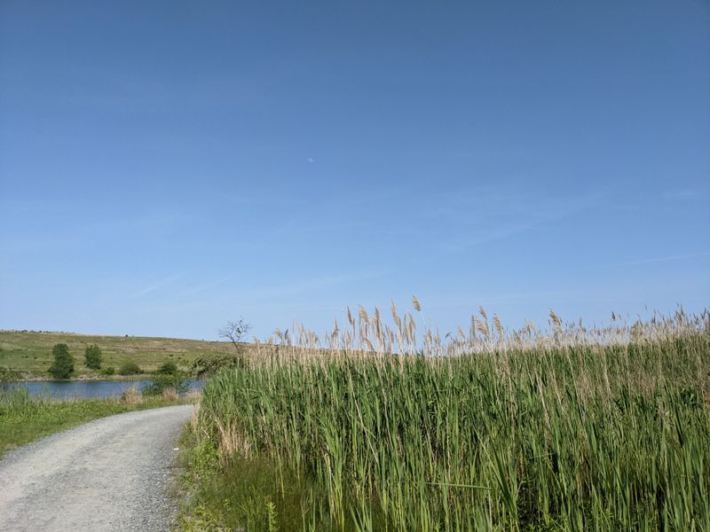 Kite Flying and Open Sky Play