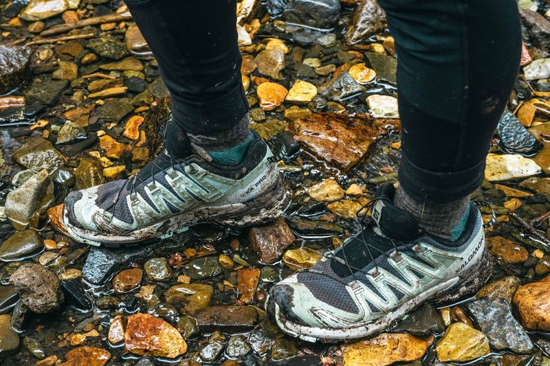 Salomon XA Pro 3D V9 GTX Hiking Shoe