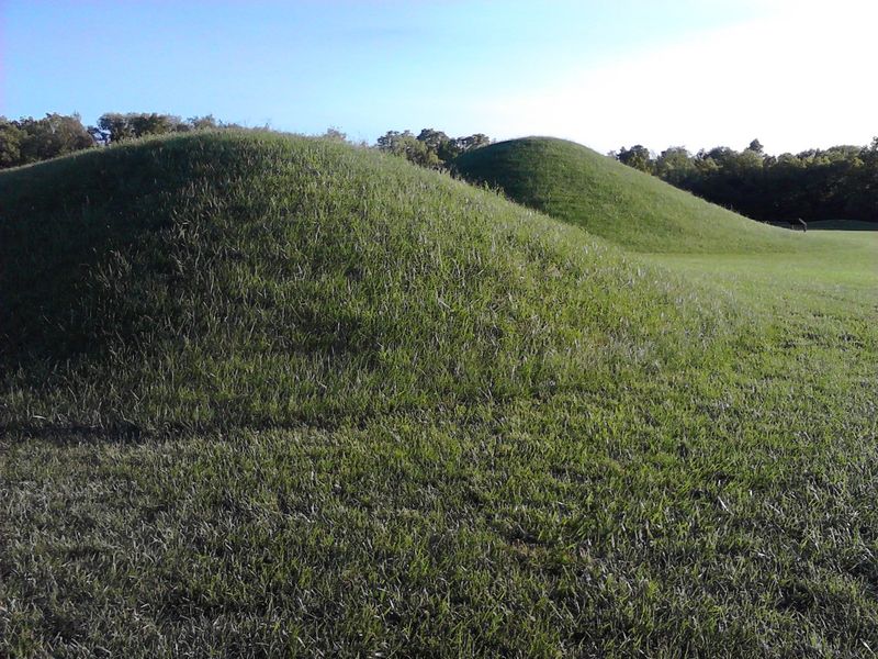 The Adena and Hopewell Geometric Earthworks (Ohio Valley)