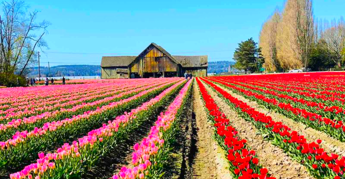 America’s Prettiest Small Towns That Tourists Always Skip