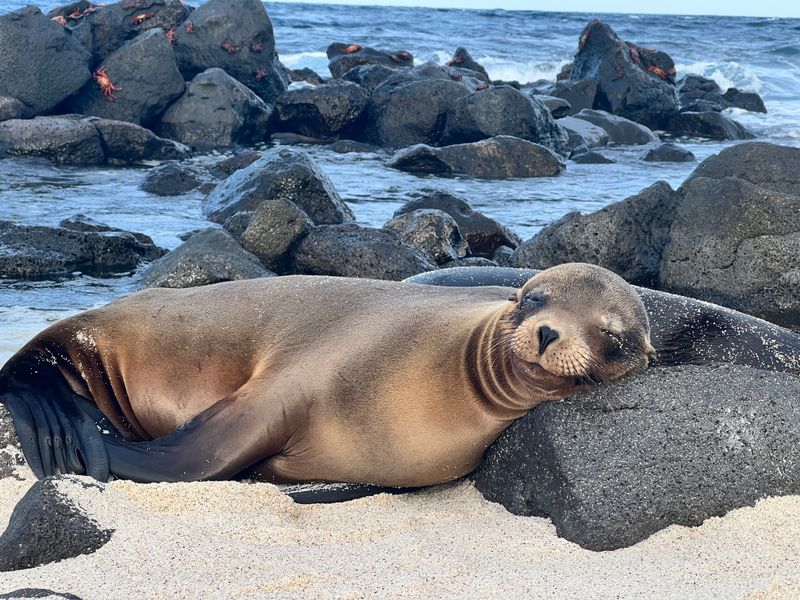 Galápagos Islands, Ecuador