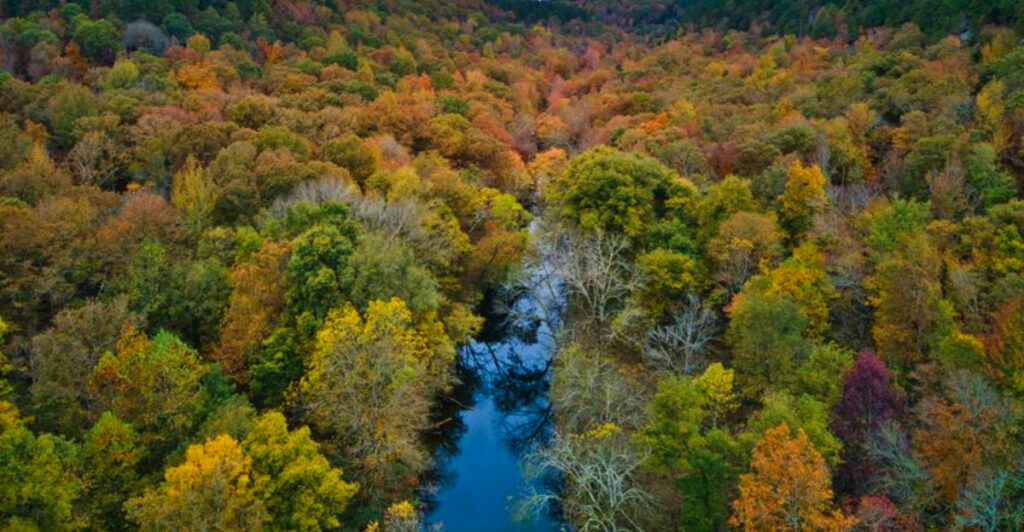 Arkansas Adventure: Waterfalls, Bluffs, and Trails Tucked Away in the Ozarks