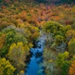 Arkansas Adventure: Waterfalls, Bluffs, and Trails Tucked Away in the Ozarks